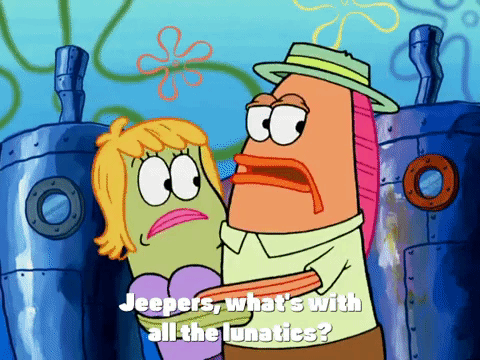 new leaf episode 13 GIF by SpongeBob SquarePants