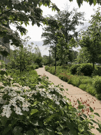Wustlbrownschool GIF by Brown School at Washington University in St. Louis