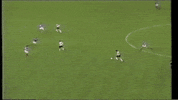 cup wc GIF