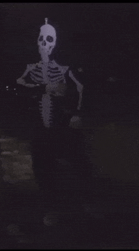 Minnesota Minneapolis GIF by Flowermouthe