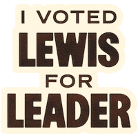 Ndp Avi Sticker by Lewis For Leader