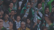 bundesliga werderbremen GIF