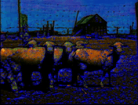 art colors GIF by MFD