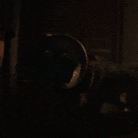 Md Entertainment GIF by MD Pictures