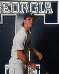 Georgia Tech Baseball GIF by Georgia Tech Yellow Jackets