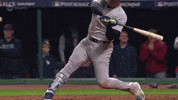 Home Run Sport GIF by MLB