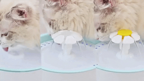 chrispaulovic giphygifmaker GIF
