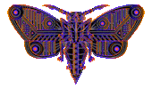 bug insect Sticker
