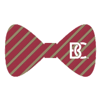 Bcva Sticker by Bridgewater College