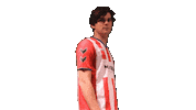 Yourdreamsarenow Theclassof2019 Sticker by De Kaascoman