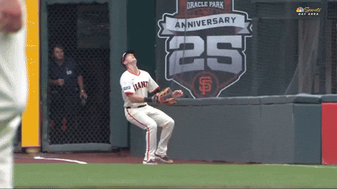 San Francisco Giants Wow GIF by MLB