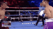 toprank boxing fighting espn fighters GIF