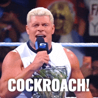 Insulting Cody Rhodes GIF by WWE