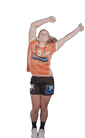 Orange Handball Sticker by Odense Håndbold