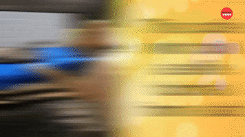 High Five Cats GIF by BuzzFeed