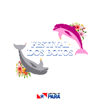 Estado Do Para Sticker by SECOMPA