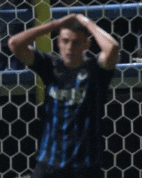 Tresoldi GIF by Club Brugge