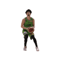 バスケットボール Sticker by Levanga Hokkaido