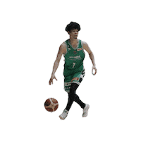 7 Sticker by Levanga Hokkaido