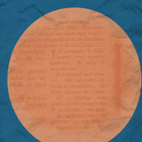 Cat Aftereffects GIF by Santi_OFF