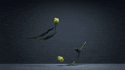 time lapse film GIF by AnOther
