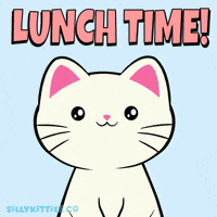 Hungry Lets Eat GIF by Silly Kitties