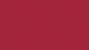 Charroslmb2025 GIF by Charros de Jalisco