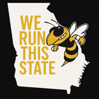 Georgia Tech Football Buzz GIF