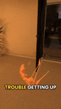 Vrchat Marcus GIF