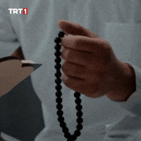 Man Omg GIF by TRT