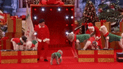 americas got talent holiday spectacular dog trick GIF by America's Got Talent