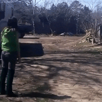 hug goose GIF