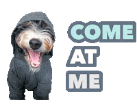 Drama Come At Me Sticker