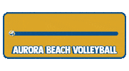 Sport Team Sticker by Aurora Beach Volleyball