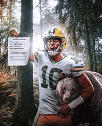 Green Bay Packers GIF