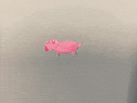 Inhethartvanhethout GIF by Kunstkwartier