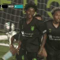 Goal Hype GIF by Lexington Sporting Club