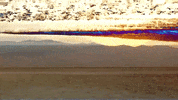 Beach Color GIF by Sam Gendel