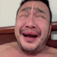conmeo299 kd299 khuyenduong299 chiphien chị phiến GIF