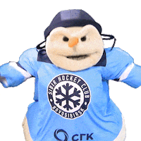 hockey snowman Sticker