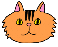 Cat Kitty Sticker by pey chi