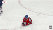 Happy Montreal Canadiens GIF by NHL