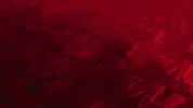 Hockey Ahl GIF by Iowa Wild