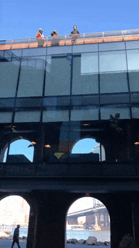 GIF by Dumbo, Brooklyn