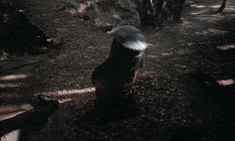 please GIF