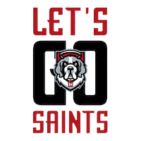 dyouville university saints buffalo higher education Sticker