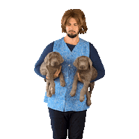 Dog Aww Sticker by O2 Slovakia