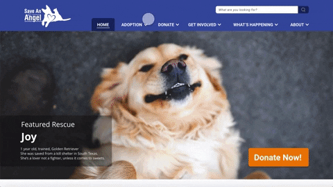 ameliatesch giphygifmaker GIF