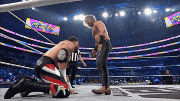 Happy Birthday Wrestling GIF