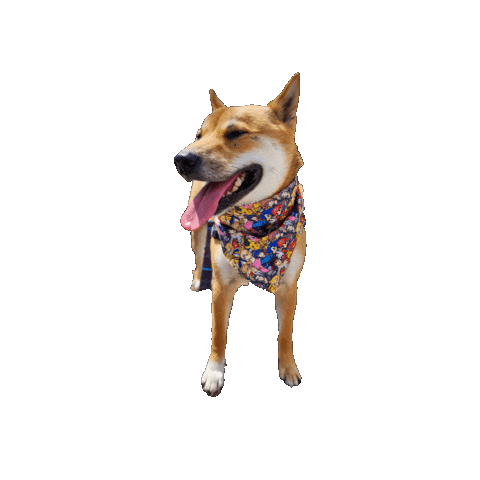 Video Games Sticker by Geekster Pets
